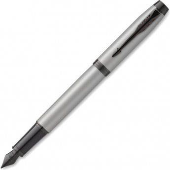 Ручка перьевая PARKER IM ACHROMATIC MATTE GRAY BT
